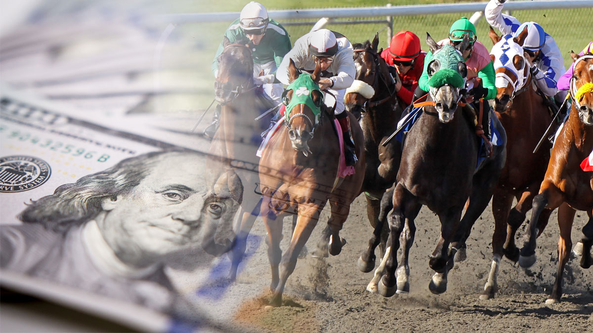 Horse racing gambling statistics